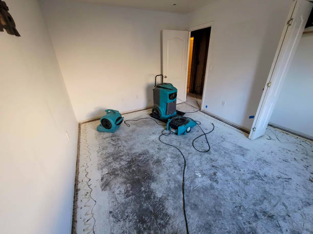 Best Sewage cleanup and water damage restoration  in Falls City, OR
